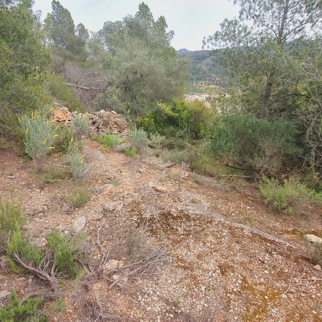 Terrain rustique à vendre à Benifallet, imagen 13