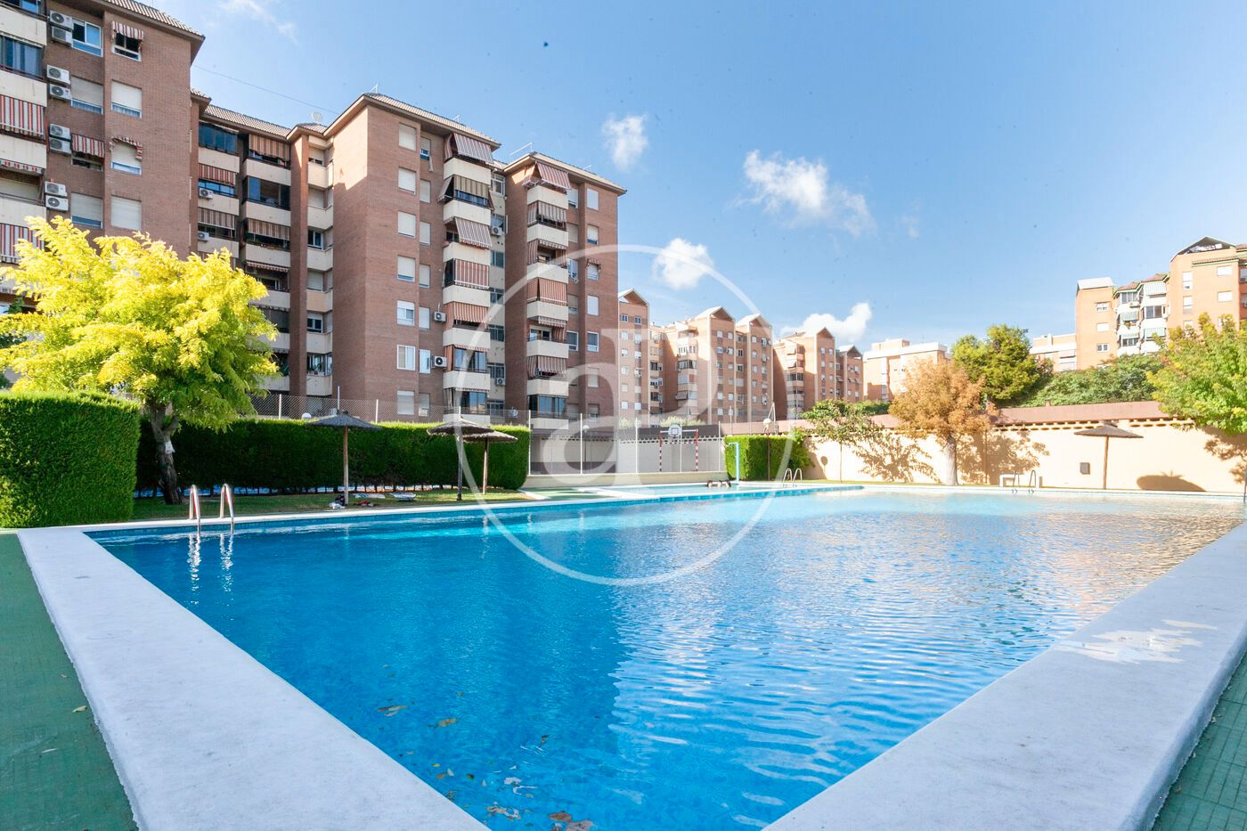 Piscina de Pis en venda en Alicante / Alacant amb Aire condicionat, Calefacció i Jardí privat