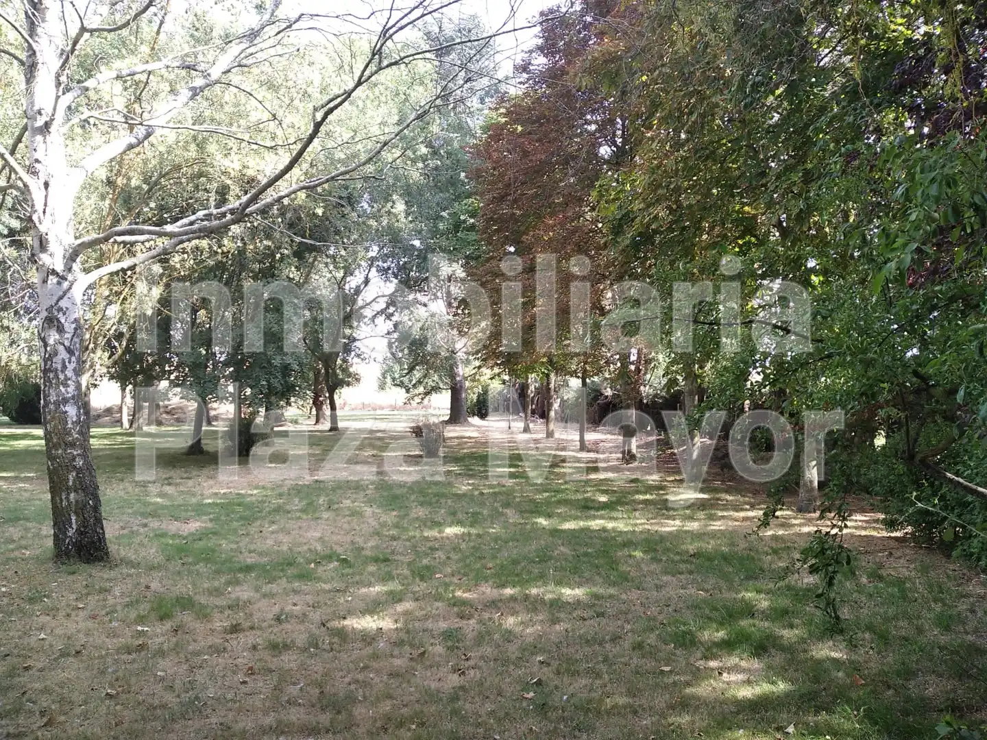 Rural land for sale in Villamayor, imagen 8