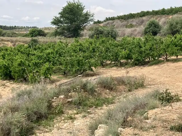 Terreni e lotti in vendita a Fraga