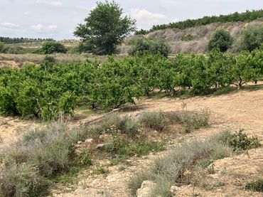 Terreno rustico in vendita a Fraga