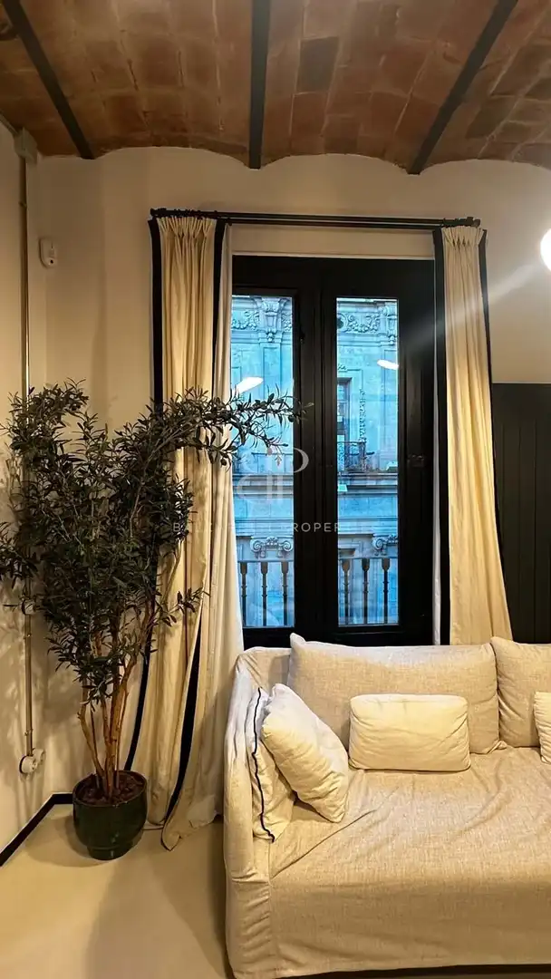 Appartamento con terrazza in affitto a El Barri Gòtic, imagen 4