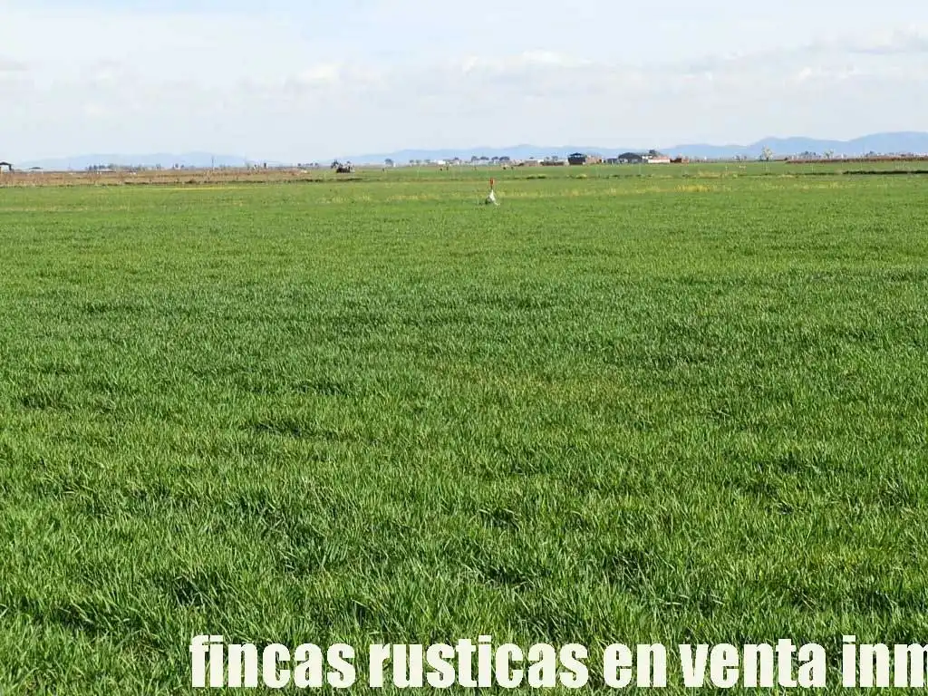 Terreny rústic en venda a Manzanares, imagen 9