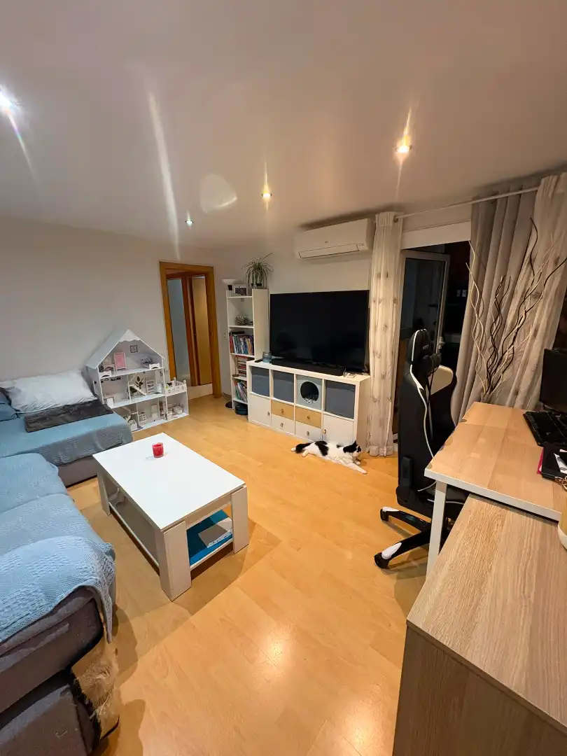Sala d'estar de Pis en venda en Olesa de Montserrat amb Aire condicionat, Calefacció i Parquet