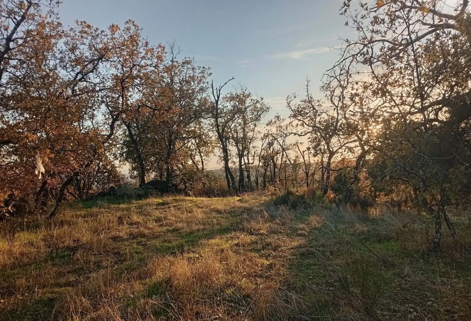 Terreni e lotti in vendita a Viandar de la Vera