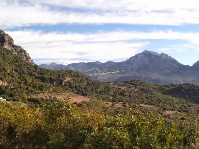 Nave industrial en Alquiler en Ubrique