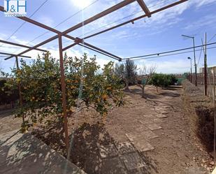 Garden of Country house for sale in Alboraya