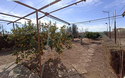 Garden of Country house for sale in Alboraya