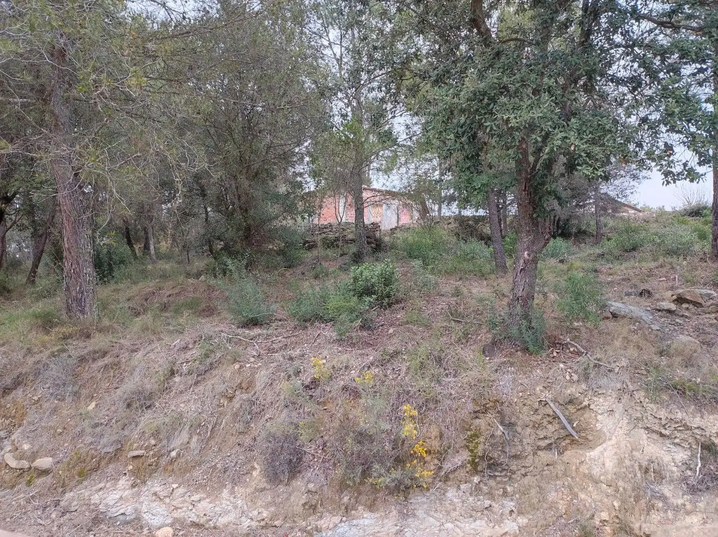 Terreno residencial en venta en Canet d'Adri, imagen 5