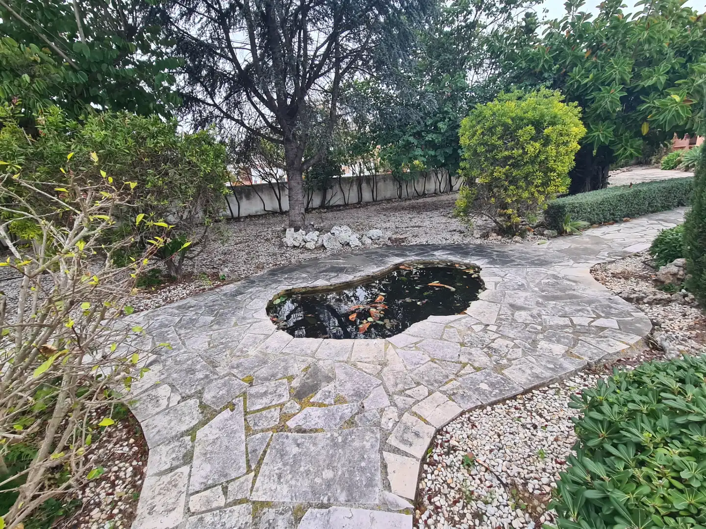 Jardí de Casa o xalet en venda en Vinaròs amb Calefacció, Jardí privat i Terrassa