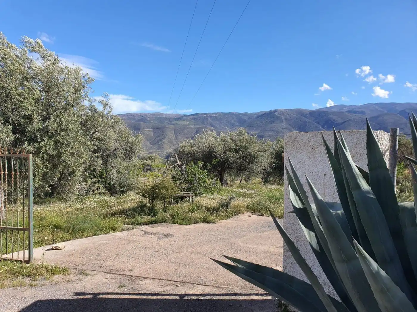 Finca rústica en venta en Beires