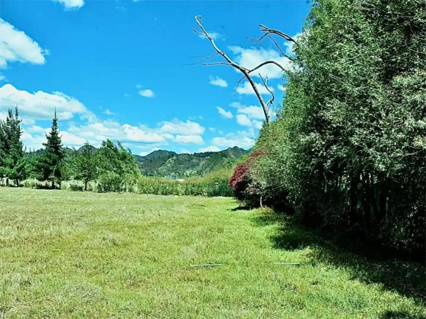 Finca rústica en venda en Rota amb Traster i Moblat