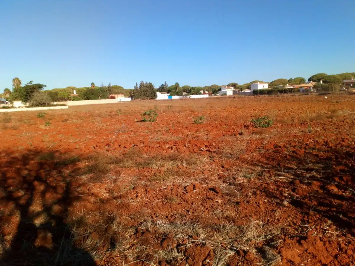 Finca rústica en venda en Conil de la Frontera