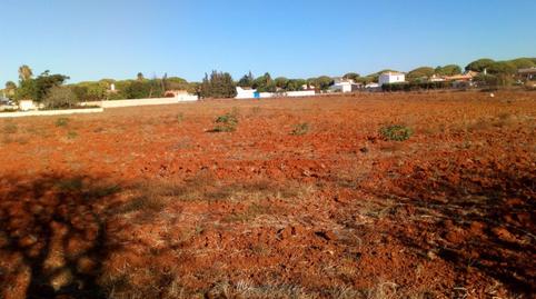 Foto 2 de Finca rústica en venda a Roche, Cádiz