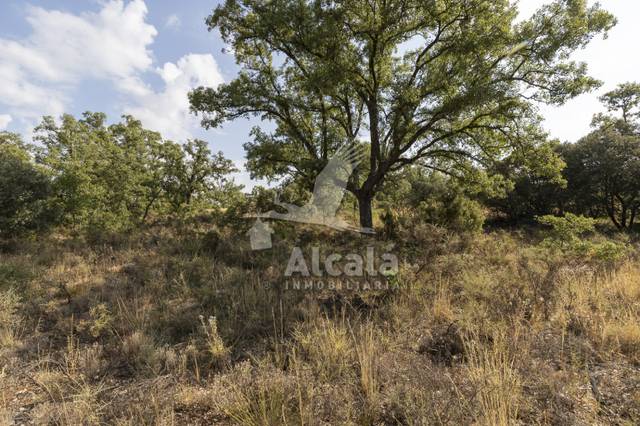 Terreno residencial en Venta en Pastrana