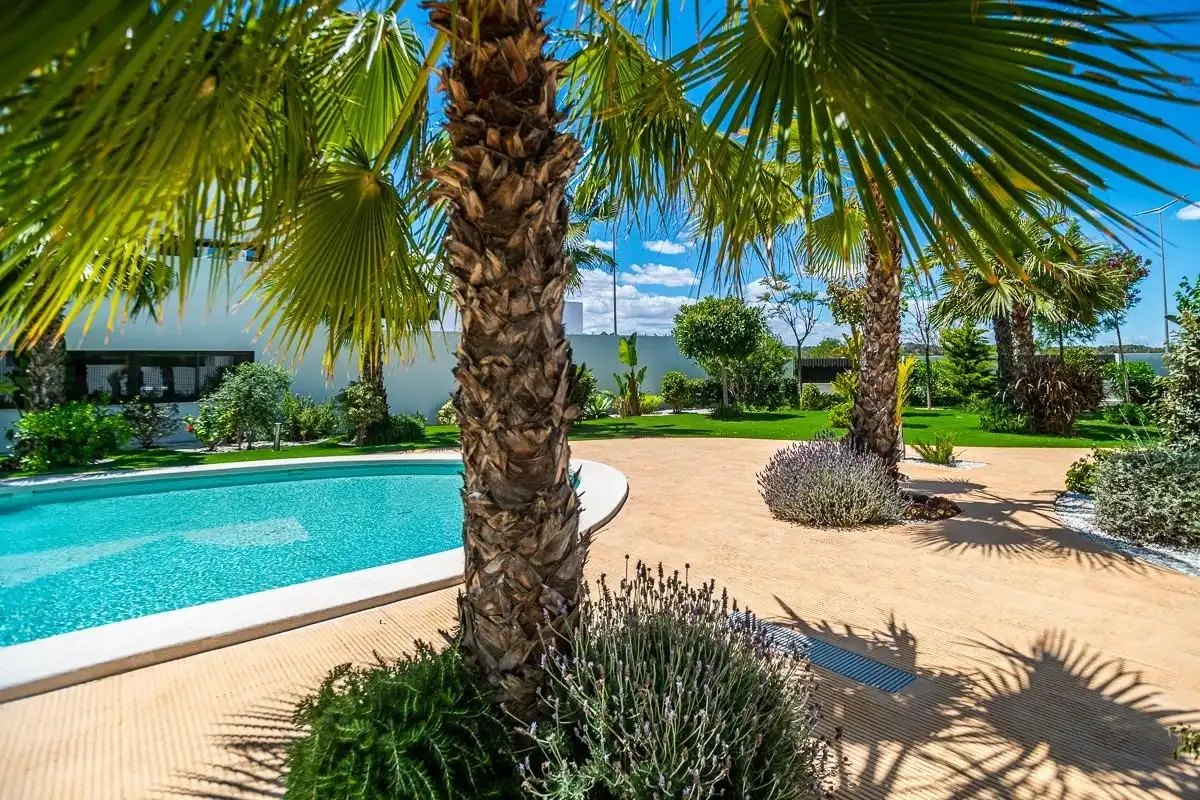 Maison à vendre à Los Balcones - Los Altos, imagen 5