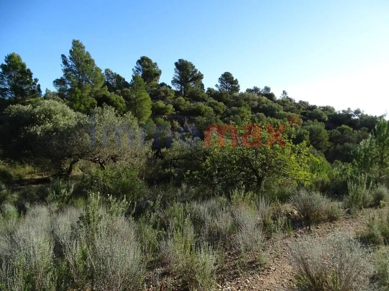 Terrain résidentiel à vendre à Xerta, imagen 23