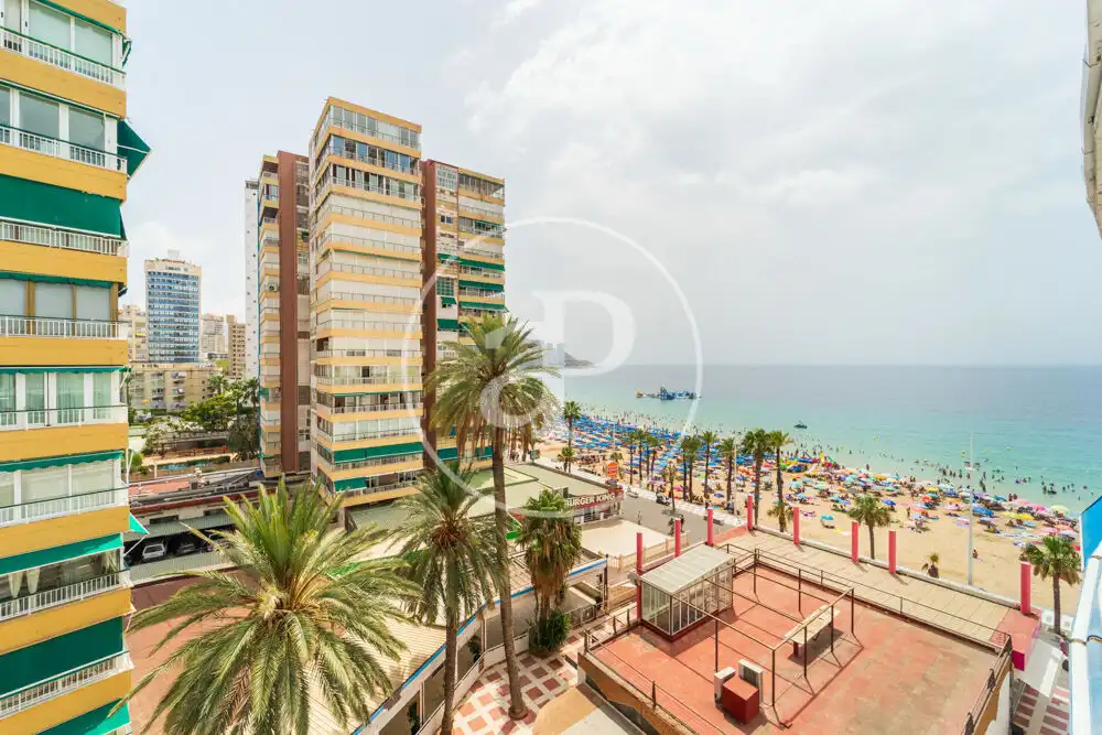 Exterior view of Flat for sale in Benidorm  with Heating, Terrace and Furnished