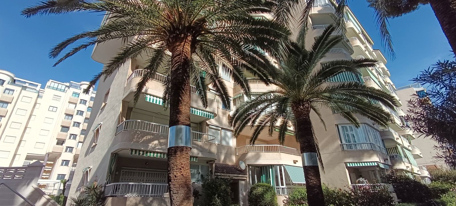 Exterior view of Apartment for sale in Gandia  with Terrace, Furnished and Community pool