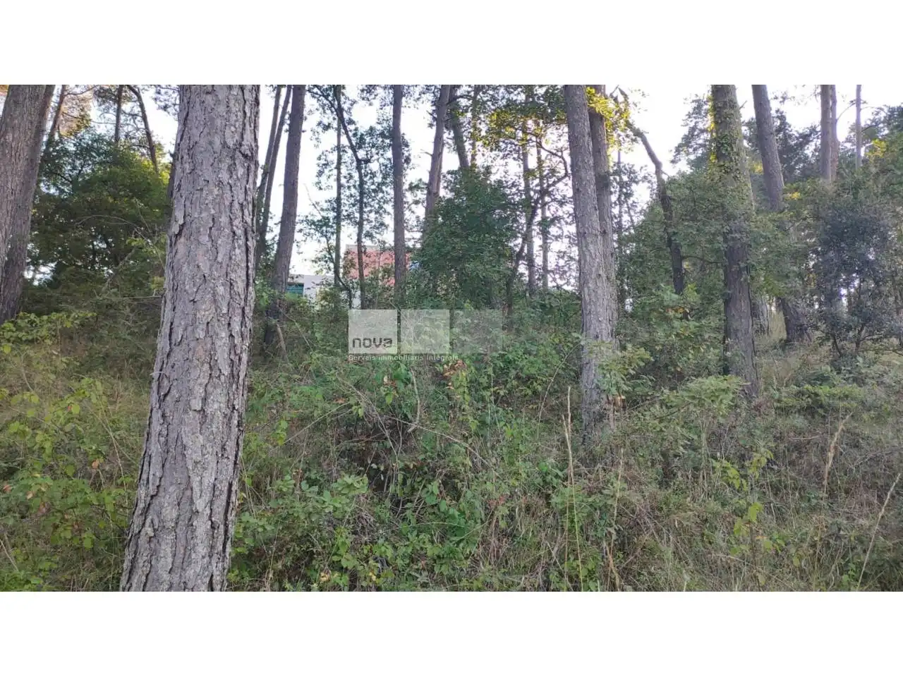 Wohnbaugrundstück zum Verkauf in Muntanyola, imagen 15