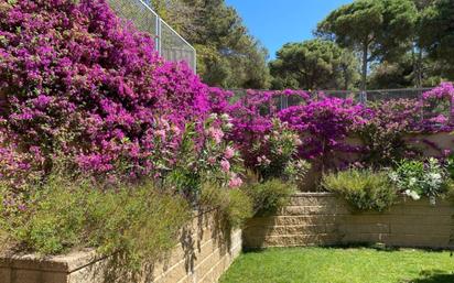 Jardí de Casa o xalet en venda en Cabrils