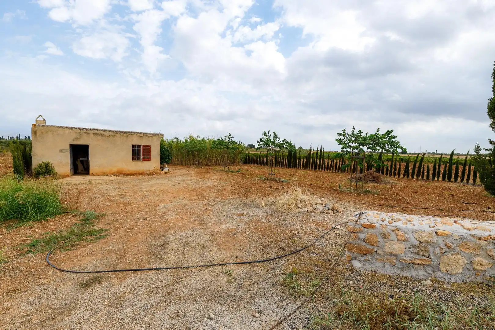Terreny rústic en venda a Santa Eugènia, imagen 3