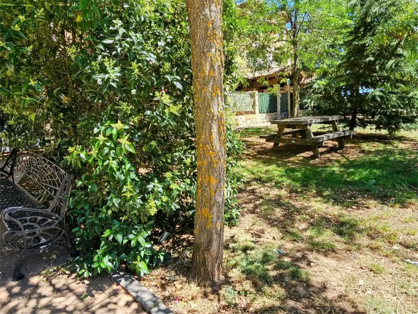 Jardín de Dúplex en venta en Grajera