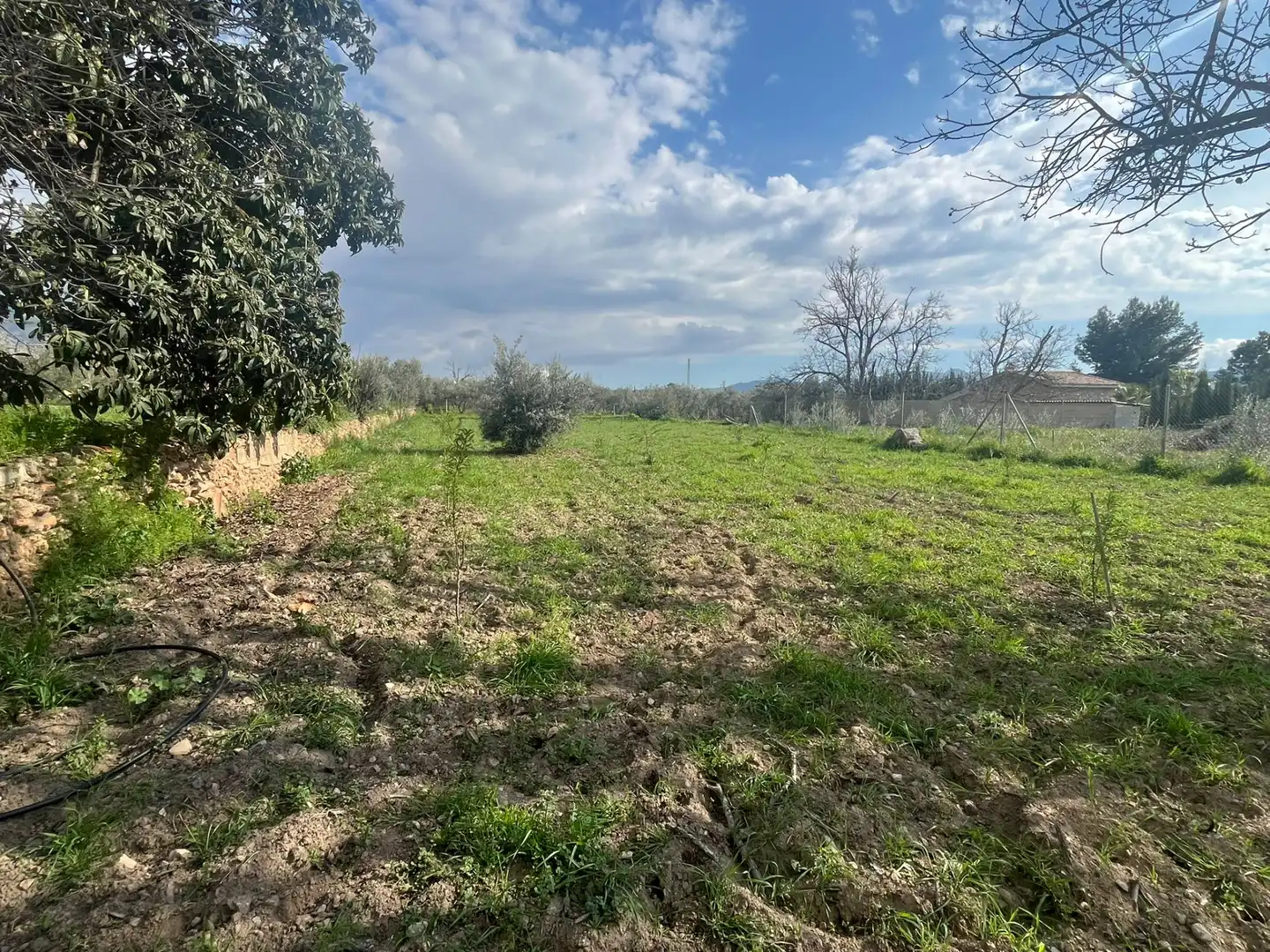 Land for sale in Dúrcal