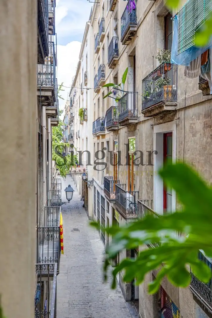 Pis amb terrassa en venda a Ciutat Vella, imagen 37