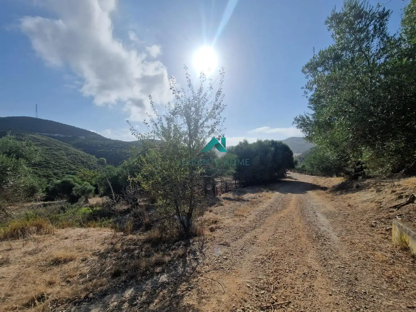 Rural land for sale in San José del Valle, imagen 7