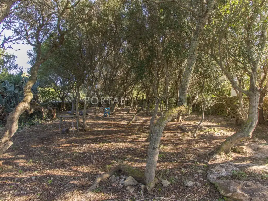 Country house for sale in Sant Lluís - S'Ullestrar - Torret, imagen 32