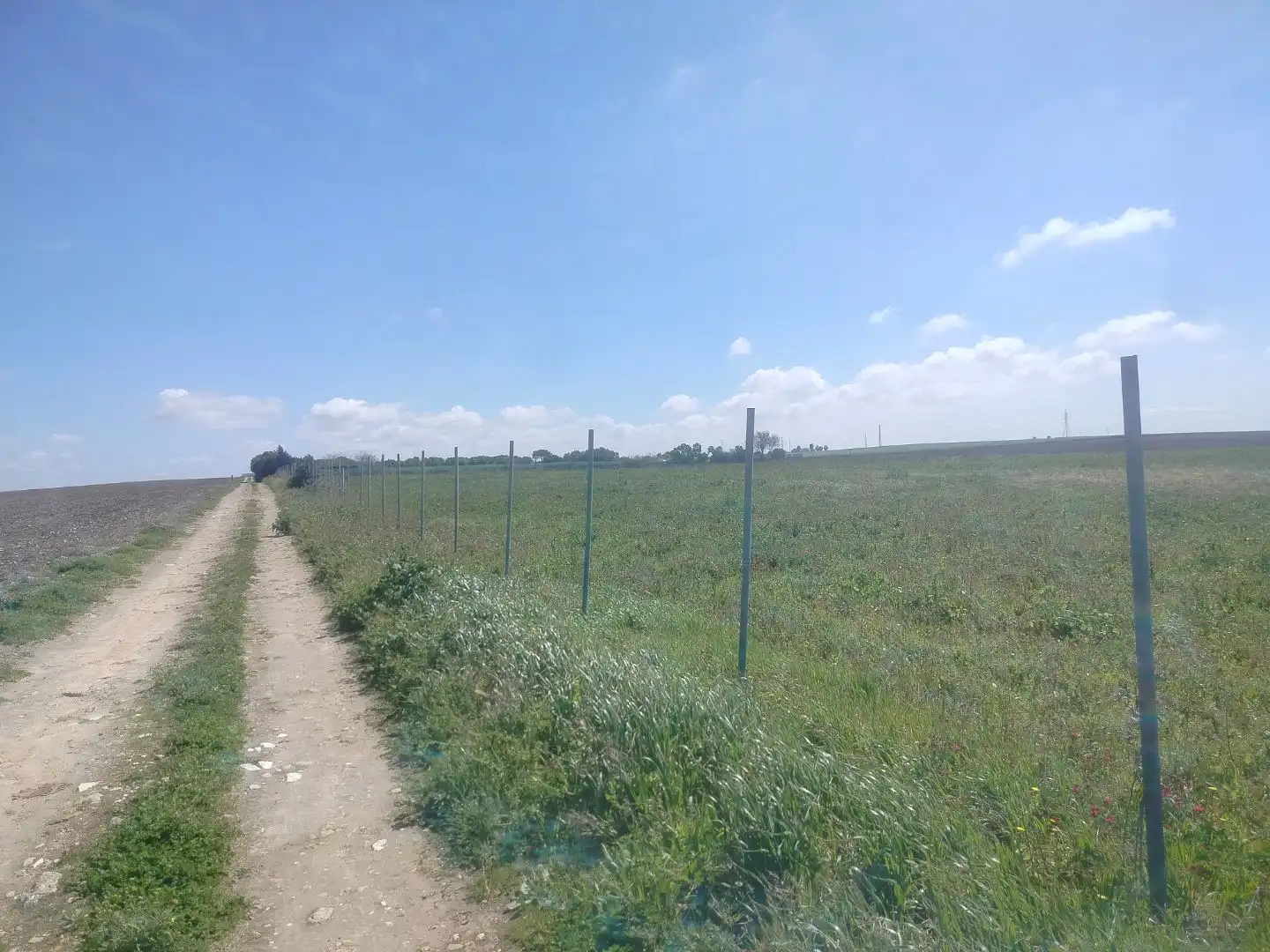 Grundstücke zum Verkauf in Rota
