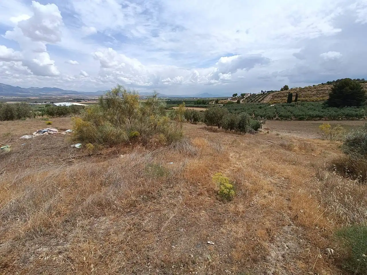 Rural land for sale in Moraleda de Zafayona, imagen 15