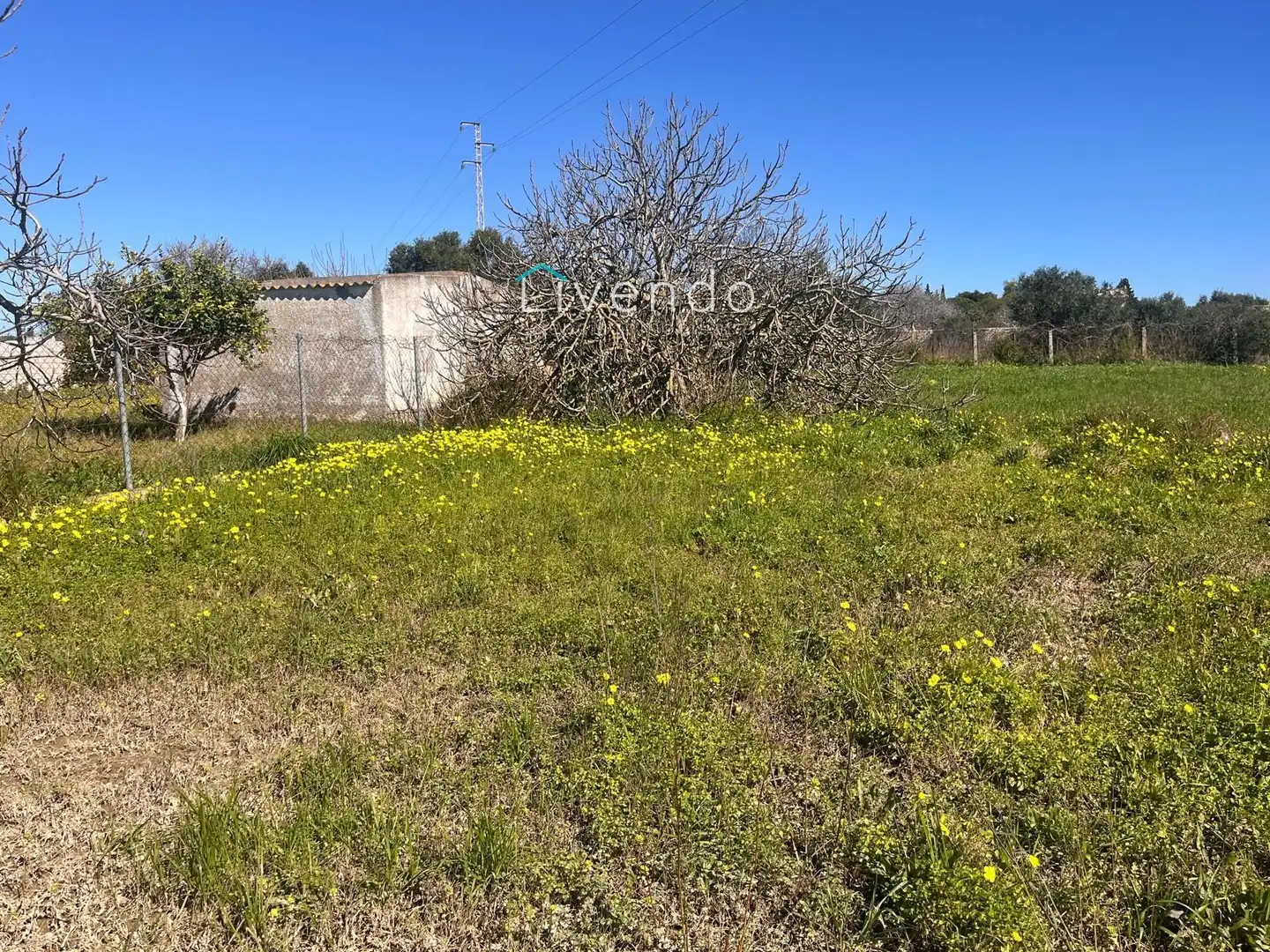 Residential land for sale in Los Franceses – La Vega, imagen 9