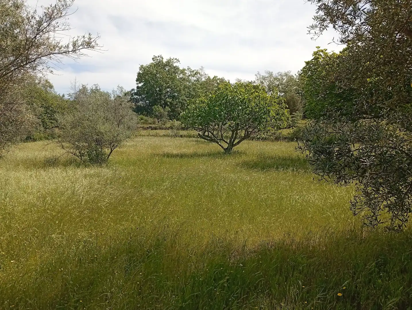 Terreni e lotti in vendita a Villanueva de la Vera, imagen 62