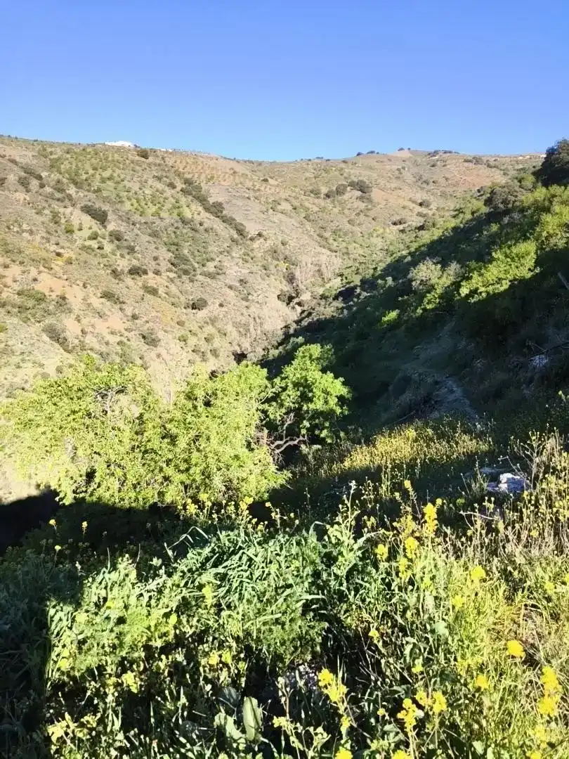 Vista exterior de Finca rústica en venta en Albondón con Jardín privado, Trastero y Amueblado