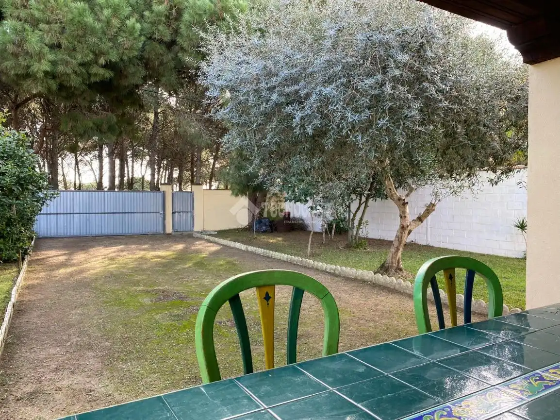 Jardín de Finca rústica en venta en Chiclana de la Frontera