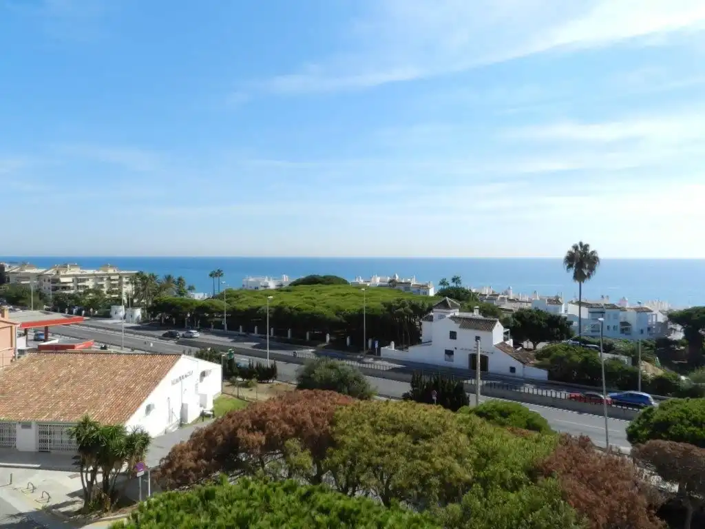 Apartamento con piscina en venta en Calle Palmar 3, imagen 4
