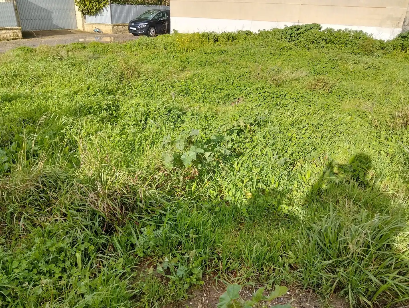 Rustikales Grundstück zum Verkauf in La Jara, imagen 5