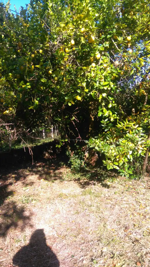 Adossat en venda a A Malata - Catabois - Ciudad Jardín, imagen 8