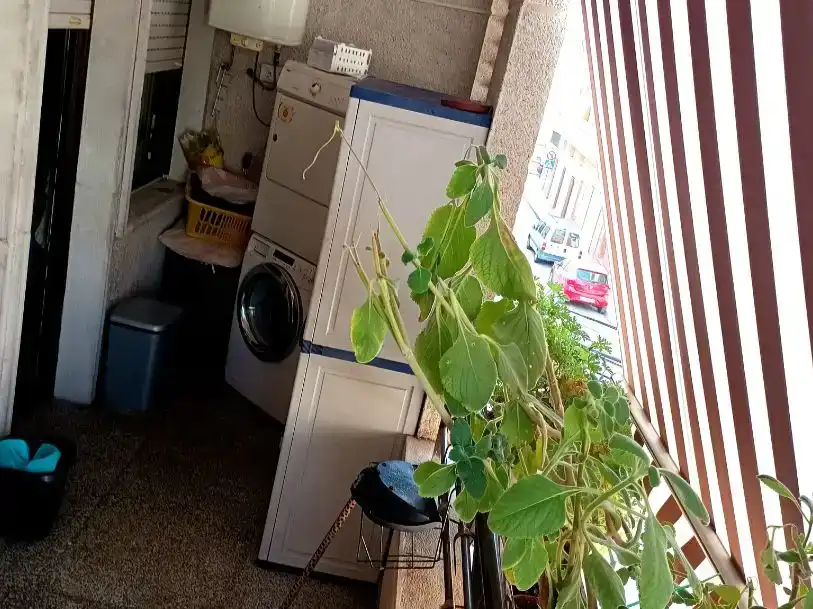 Kitchen of Flat for rent in Santa Pola  with Air Conditioner, Furnished and Balcony