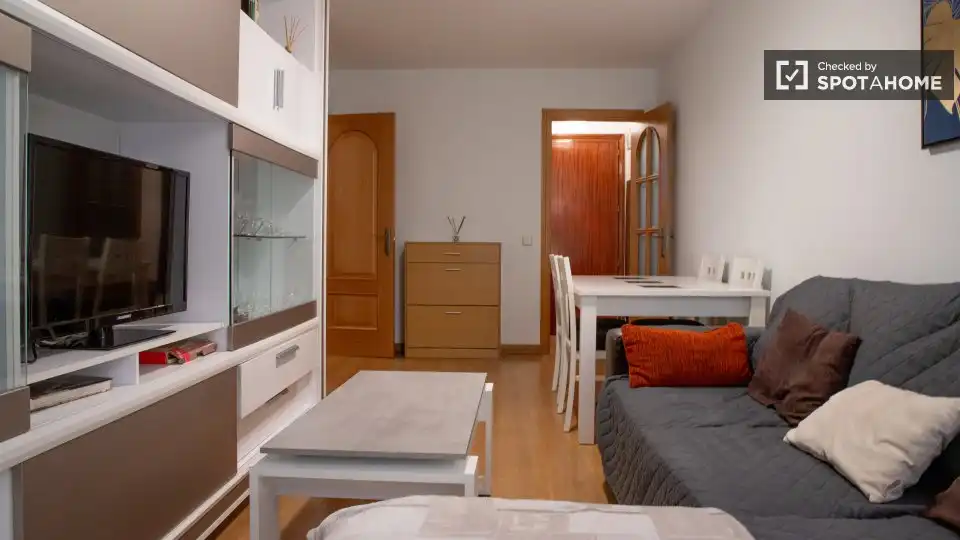 Appartamento con terrazza in affitto a Centro, imagen 4