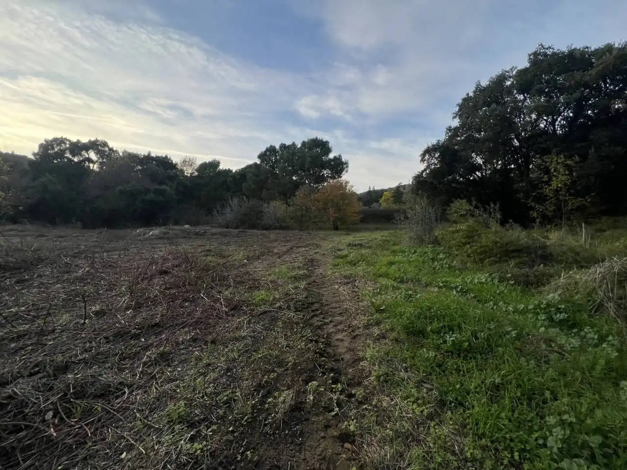 Terreno en venta en Calle GIV-521, 3, Riells i Viabrea