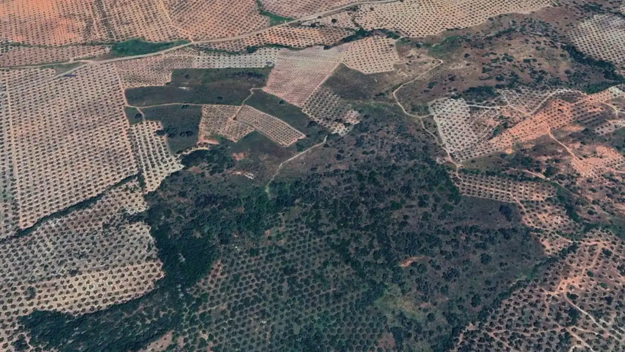 Terreno en venta en Chiclana de Segura