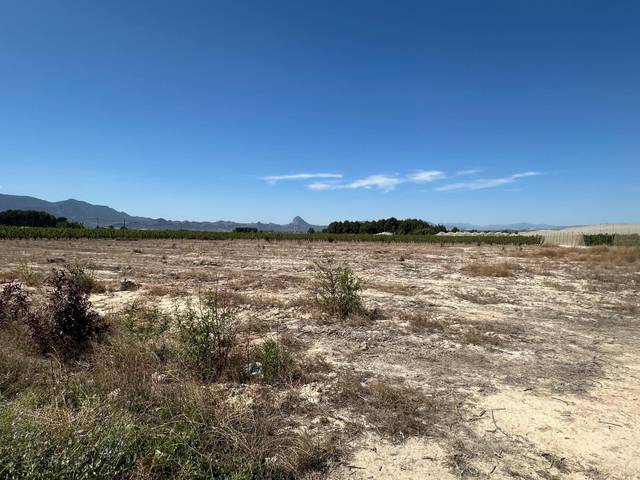 Terreno residencial en Venta en Cieza
