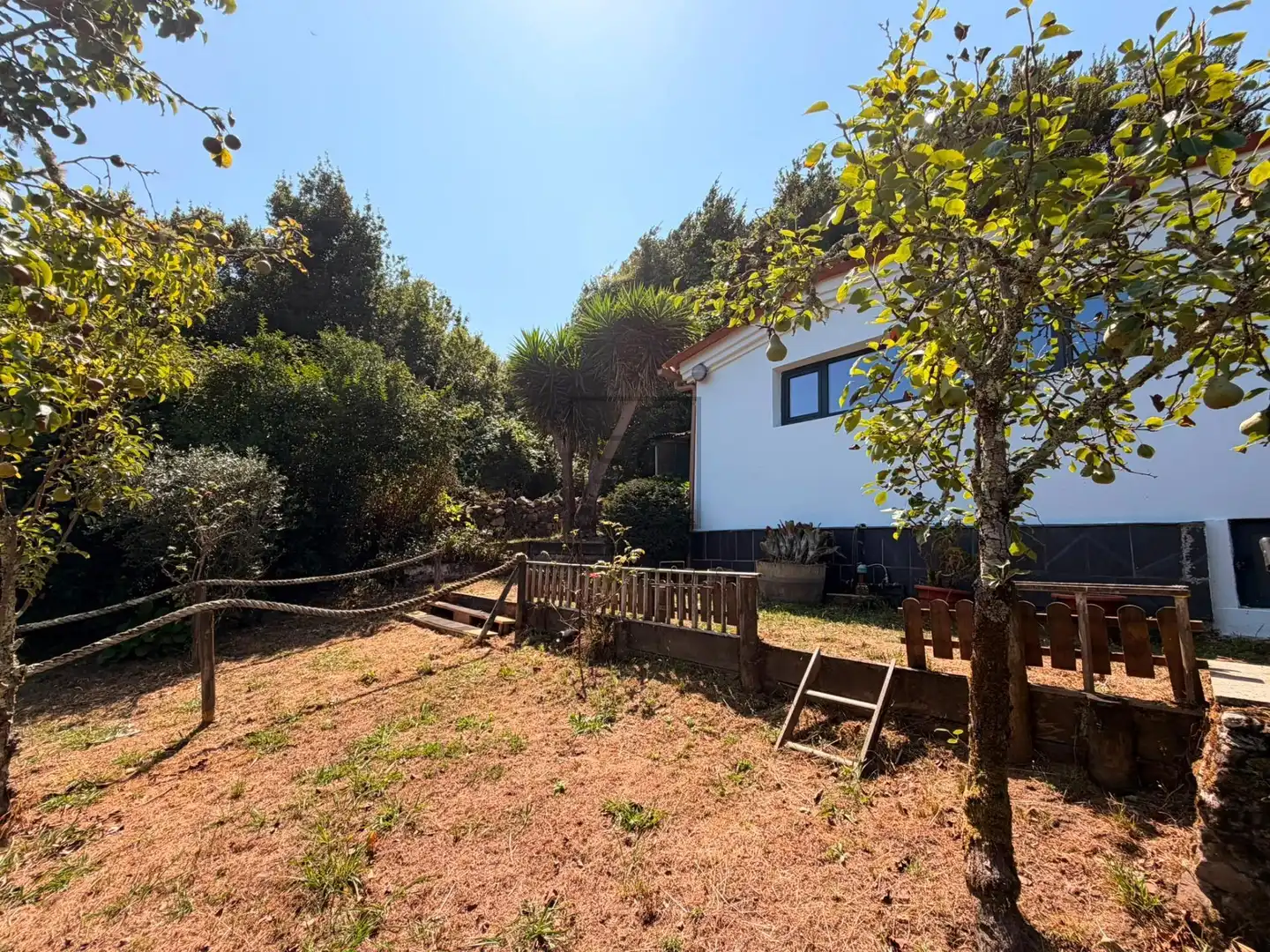 Jardín de Casa o chalet en venta en Ferrol con Jardín privado, Terraza y Amueblado