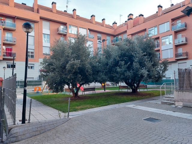 Flat for sale in Calle Santa Marta