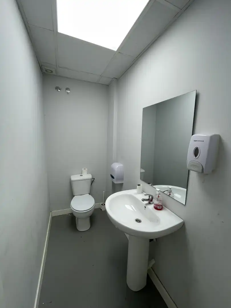 Bathroom of Commercial properties for rent in Valencia