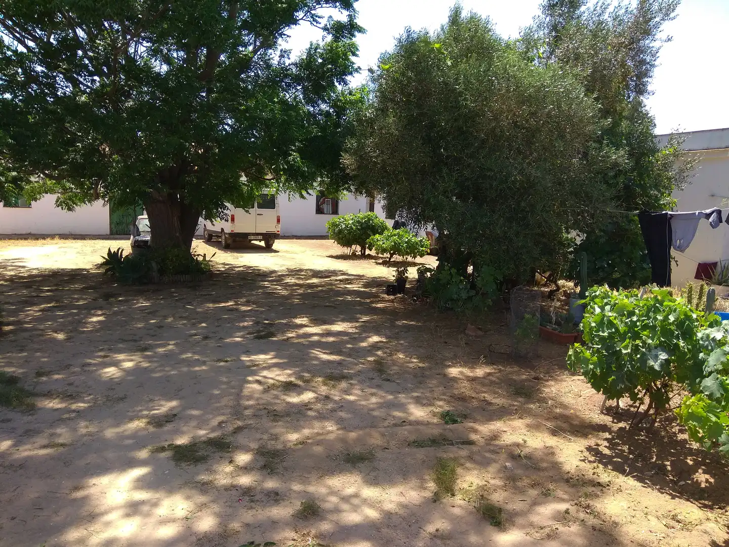 Terrain rustique à vendre à Vejer, imagen 4