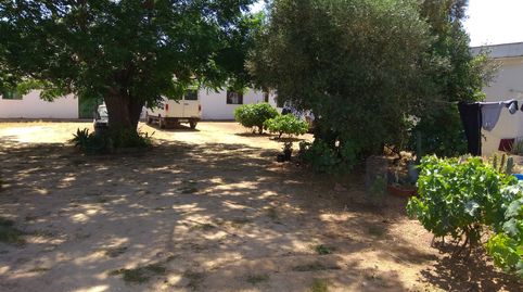 VENDO  BONITA FINCA DE 10.000 M CON CORTIJO Y VIVIENDAS , GARAJES ETC., immagine 4